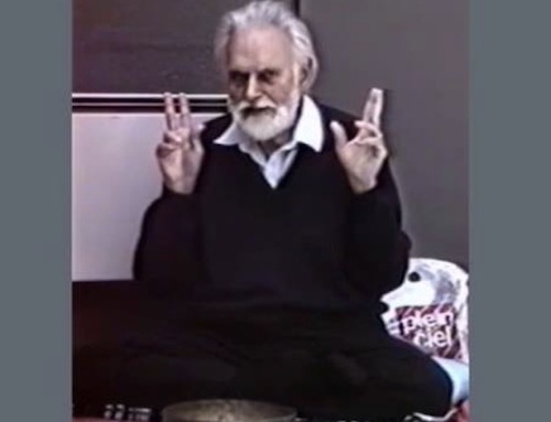 La Meditation Est Indispensable Video Edouard Salim Michael Meditation Presence