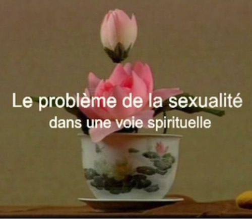 Le Probleme De La Sexualite Dans Une Voie Spirituelle Video Edouard Salim Michael Meditation Presence