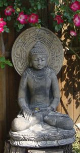 bouddharose1